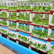 无土栽培漏窗栽培立体栽培植物墙 立体种植水培叶菜温室无土种植