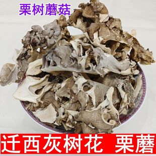 �Ҙ仨Ұ���w����Ģ�����r���Ģ���ɹ�ɏ�����خa���乽�����㹽