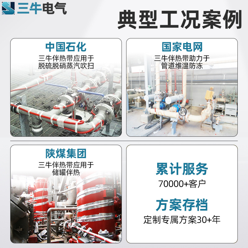 Tiangou Snow Melting Electric Companion Tropical Greenhouse Roof Heating Cable Roof Snow Removal Hea