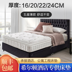 Latex Mattress Soft and Hard Dual-purpose Thin 16cm Spine Protection Household Cushion 20cm Simmons Silent Spring Mattress