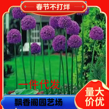 һ�����l���Ļ�����[�M�ڷN���ʹ�������@ͥԺ���d�����ͺ���