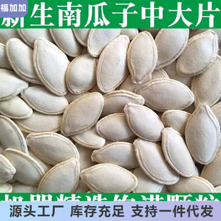 ��؛���Ϲ���5���b 2��1�� ������x ����Թ���ʳ���Ϲ���