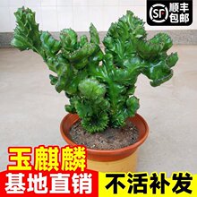 ���������Ԏ��莧���҃ȿ͏d�k��������ؔ�[�����ܼt�������ֲ��