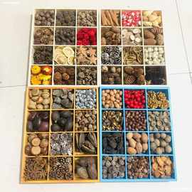 客厅酒柜DIY摆件 100多种果壳干花干树枝环创森系材料伴手礼拍照