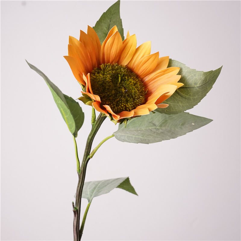 Girasol de tallo largo - Naranja