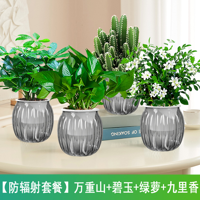 [방사선방호패키지] 완중산 + 벽옥 + 청무 + 구리향(회색 호박 냄비) +