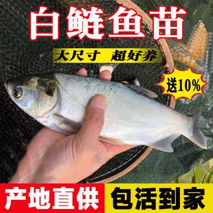 ���|������~�����I��ˮ�Bֳ���^�~�Ĵ���~�חl�~���w�����c�~��