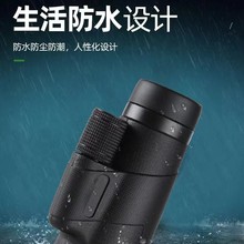 Rd12x50ͲhRҹҕ羳SƷRWҰʿ