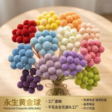 染色黄金球彩色球形花干花果diy花材花束插花跨境亚马逊temu配花