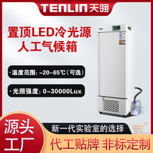 天翎置顶LED冷光源人工智能气候箱光照培养箱霉菌微生物恒温恒湿