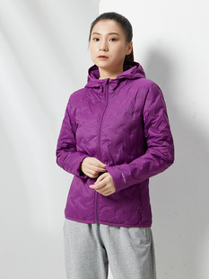 �����W���Bñ����Ů�p����q���ж����¿����2024��H�ቺ��q��