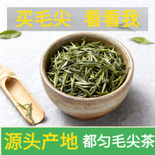 2025雨前贵州高山云雾毛尖特级嫩芽叶散装新茶厂家批发支持代发