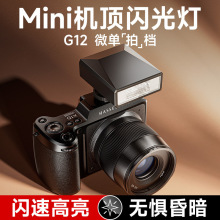 mini΢ûḻʿ῵ͨù
