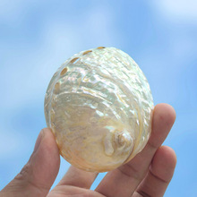 ��Ȼ��ɫ�y���U�~ؐ���Ҿ��Ʒ���ݚ��~��ˮ�儓��[����ؔ�U�~��