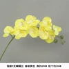 Short 9 -headed Phalaenopsis yellow silk cloth