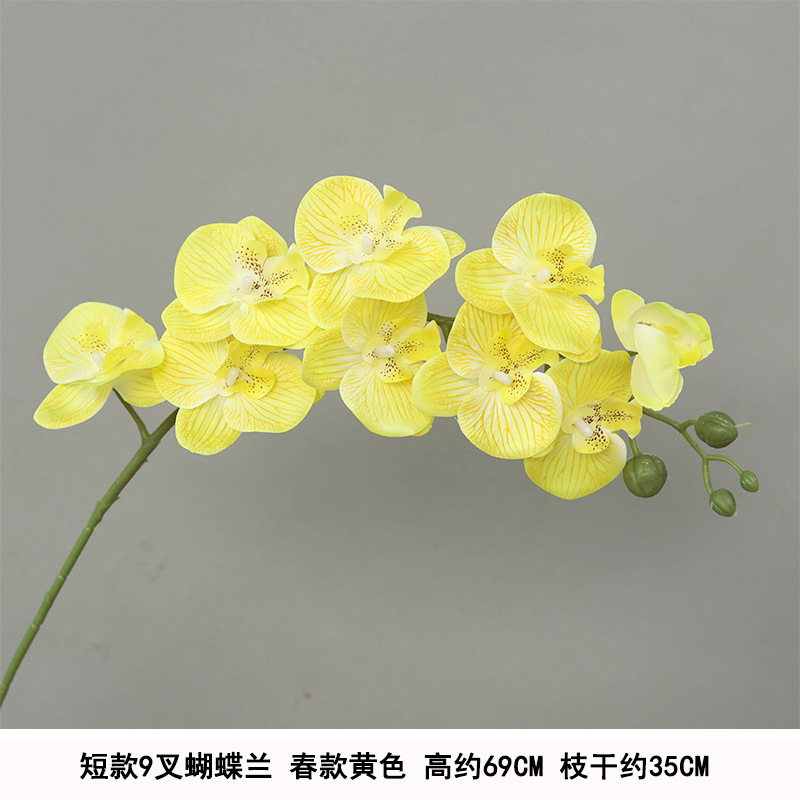 Short 9-head phalaenopsis yellow silk