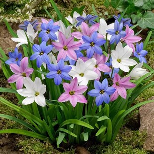 �L���m��N���ذ��ļ��_�������[�m���mʯ�������̨ͥԺ���ܾGֲ