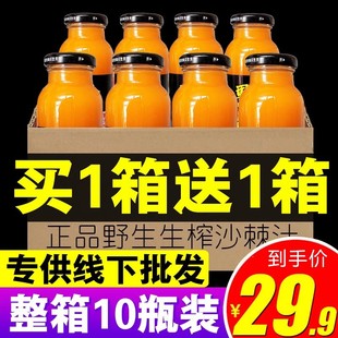 ɳ��֭Ұɽ����ԭ�{��֭Ұ��ɳ��ɽ���خa�������20ƿ��ե��֭