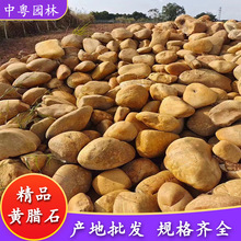 天然黄腊石鱼池假山黄蜡石绿地草坪装饰黄石驳岸流溪广东产地