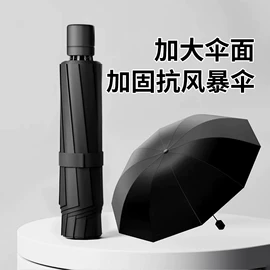 晴雨伞;遮阳/太阳伞;雨伞