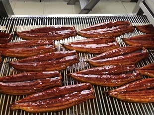 �џ�K�����~��ʽ�����~Ƭ���~�Οo��֭5KG ��������