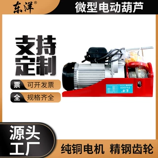 PA电动葫芦小型提升机悬挂式220V起重机建筑装修室内外家用钢丝绳