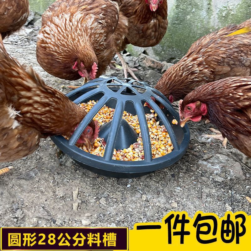 新款喂鸡食槽养鸡自动喂食器散养鸡神器打不翻鸭鹅牛筋盆|undefined