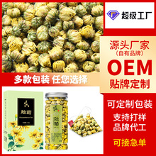 OEM加工定制胎菊盒装40g花茶正宗桐乡胎菊江苏胎菊杭白菊厂家直销