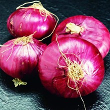 紫红皮洋葱种子特大圆洋葱紫皮春秋冬天四季耐寒农家庭院蔬菜种子