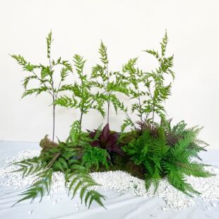 ܛzɽXާ~ֲާPβݼҾbGֲٲ˹