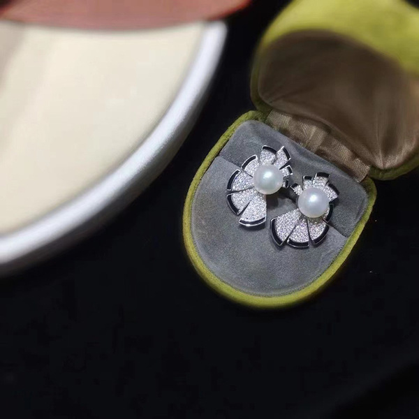 Fashionable elegant accessories