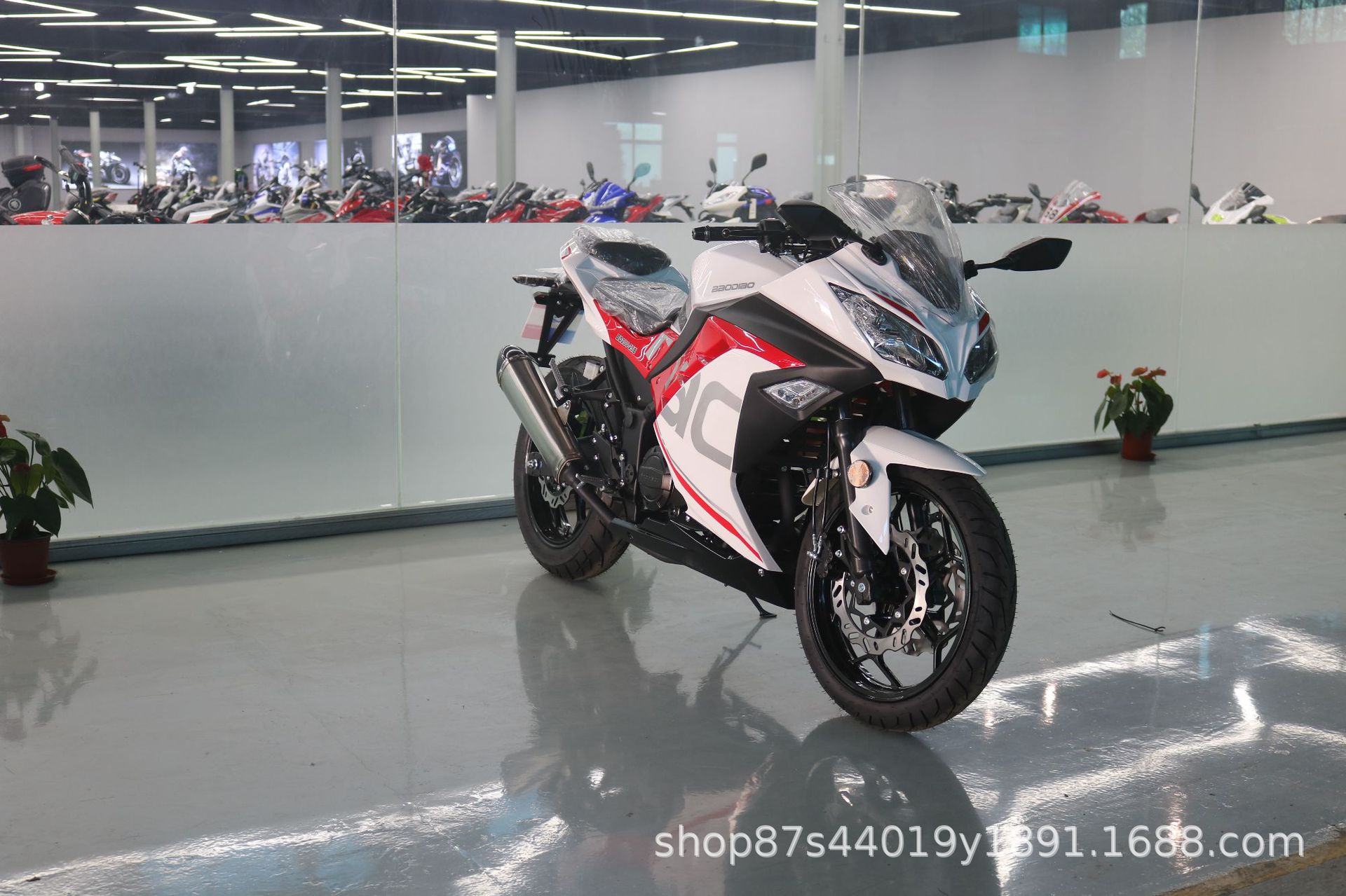 License-able motorcycle Kawasaki Ninja, twin-cylinder racing replica, Horizon sportbike, adult gasoline-powered sportbike, complete vehicle
