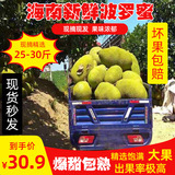 海南熱帶新鮮水果菠蘿蜜20--35斤當季水果波羅蜜整箱特產整個