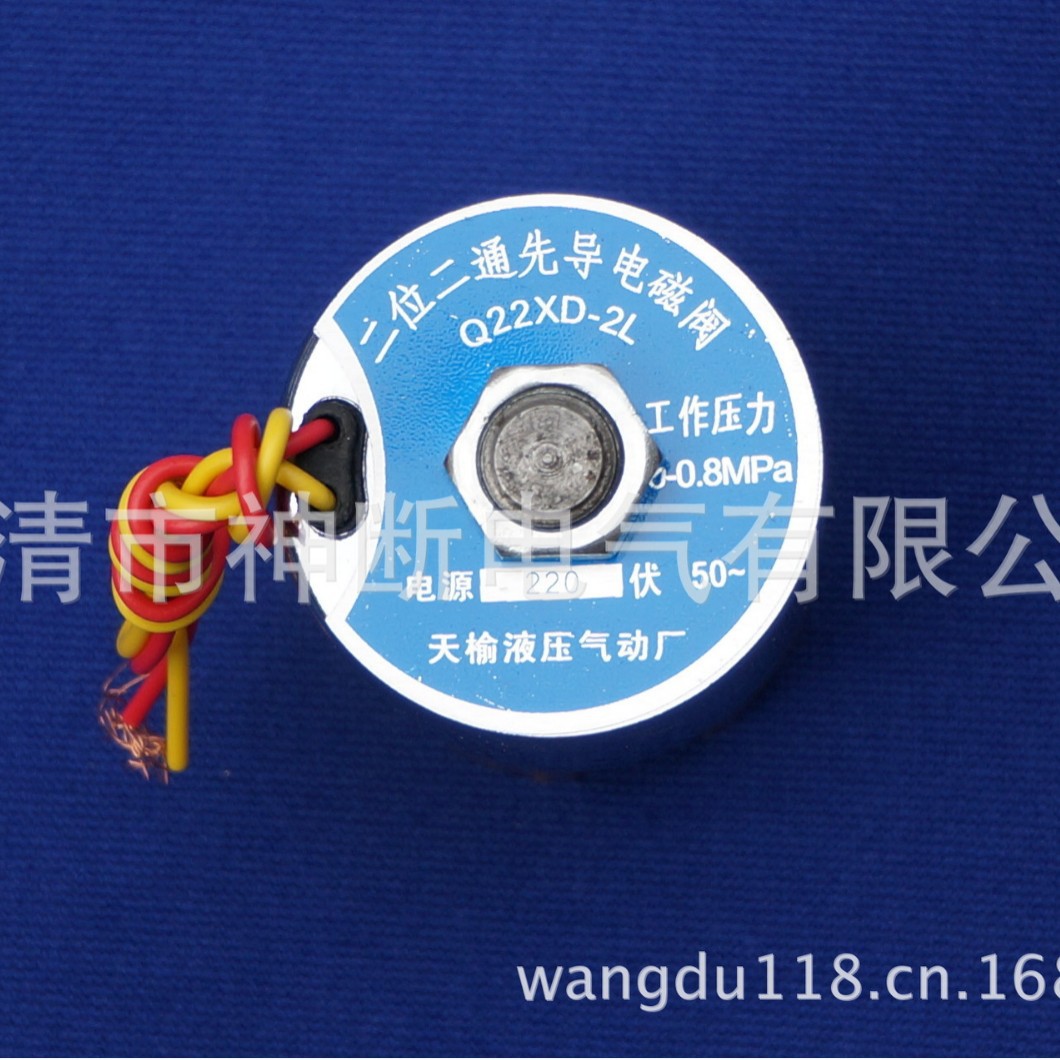 【批销】Q22XD-2L/220V(0-0.8MPA)天瑜二位二通先导电磁阀