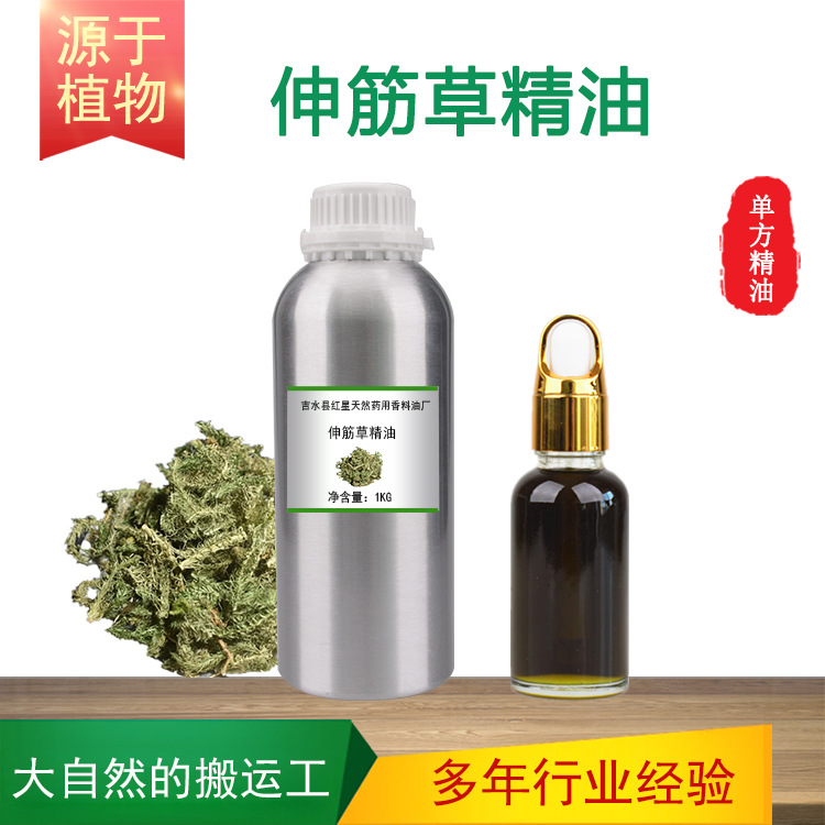 超临界CO2伸筋草精油单方精油植物香料按摩护发香薰日化原料