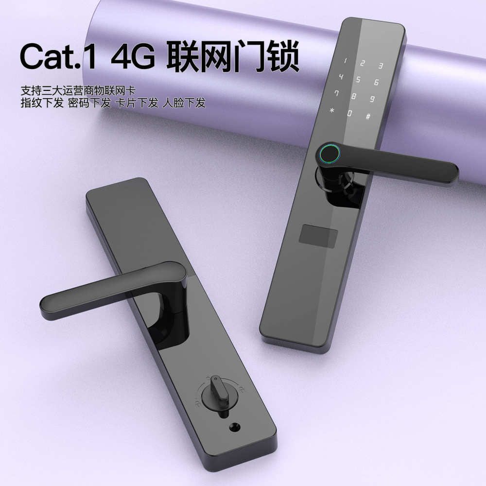 4G联网锁Cat.1智能物联网公租房锁公寓密码锁校园锁API开放可二开