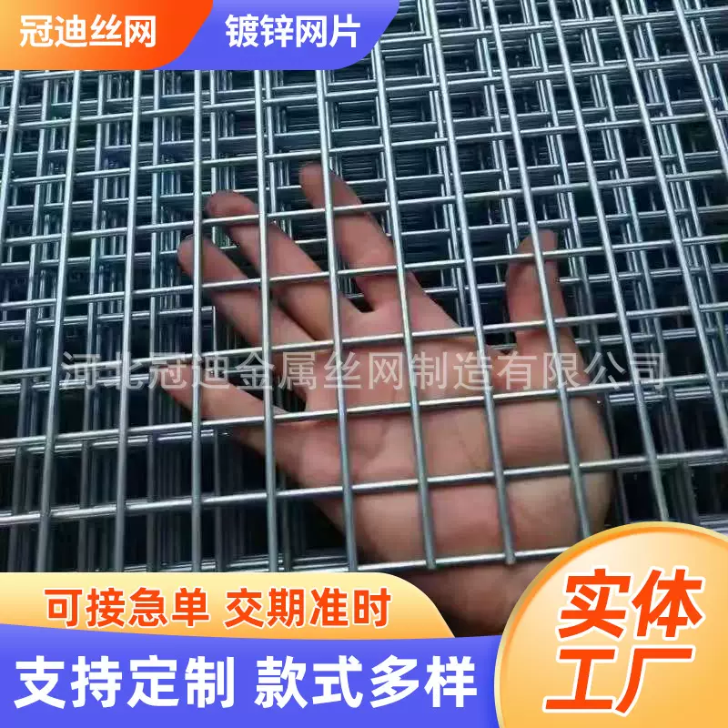 镀锌铁丝电焊网片建筑网格养殖加粗工地建筑长孔网网格网片