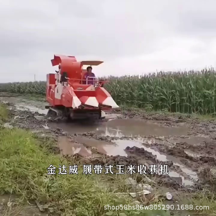 主圖01.jpg