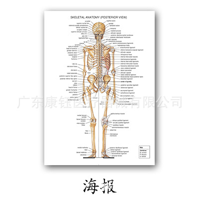详情图