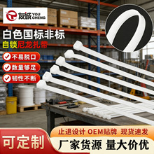 �������������������ˏ���������������������̖�����S�����l