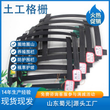 土工格栅单向双向钢塑加筋带pp聚丙烯玻纤涤纶警示网硅晶网pet等