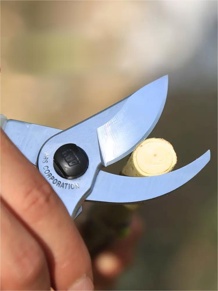 日本ars130DX爱丽斯修枝剪刀园艺剪修剪树枝果树园林树枝花艺剪刀