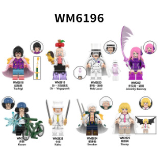 �����b��WM6196����ϵ�п羳���Q���N����С�w��ƴ�b�eľ�������