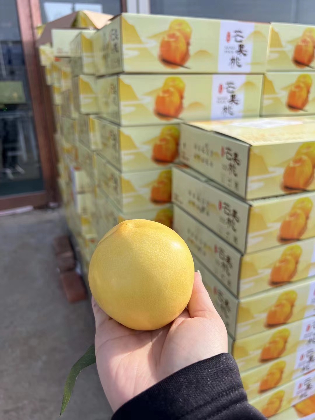 微信图片_20220522125827