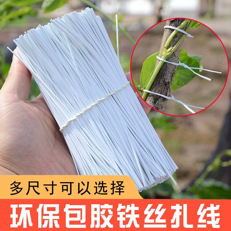 扎带捆扎绳扎丝电镀锌铁包塑铁丝葡萄绑丝塑料电源线绝缘束线