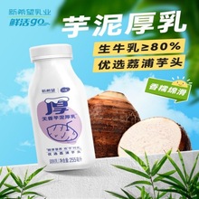 厚乳新产新希望芋泥优选荔浦芋头255ml*3/6瓶营养牛奶跨境厂家