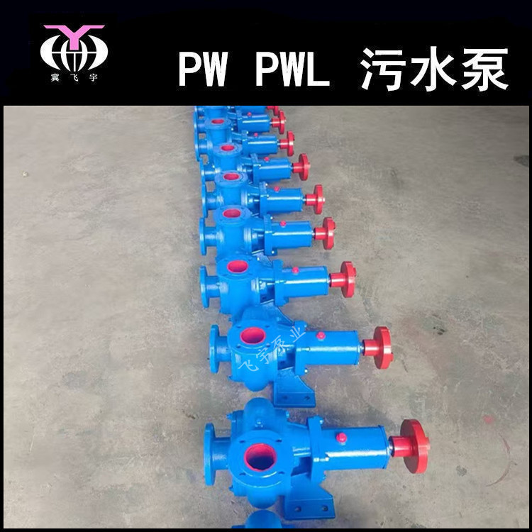 2.5Pw卧式单级悬臂式离心式污水泵 无堵塞大流量排污泵