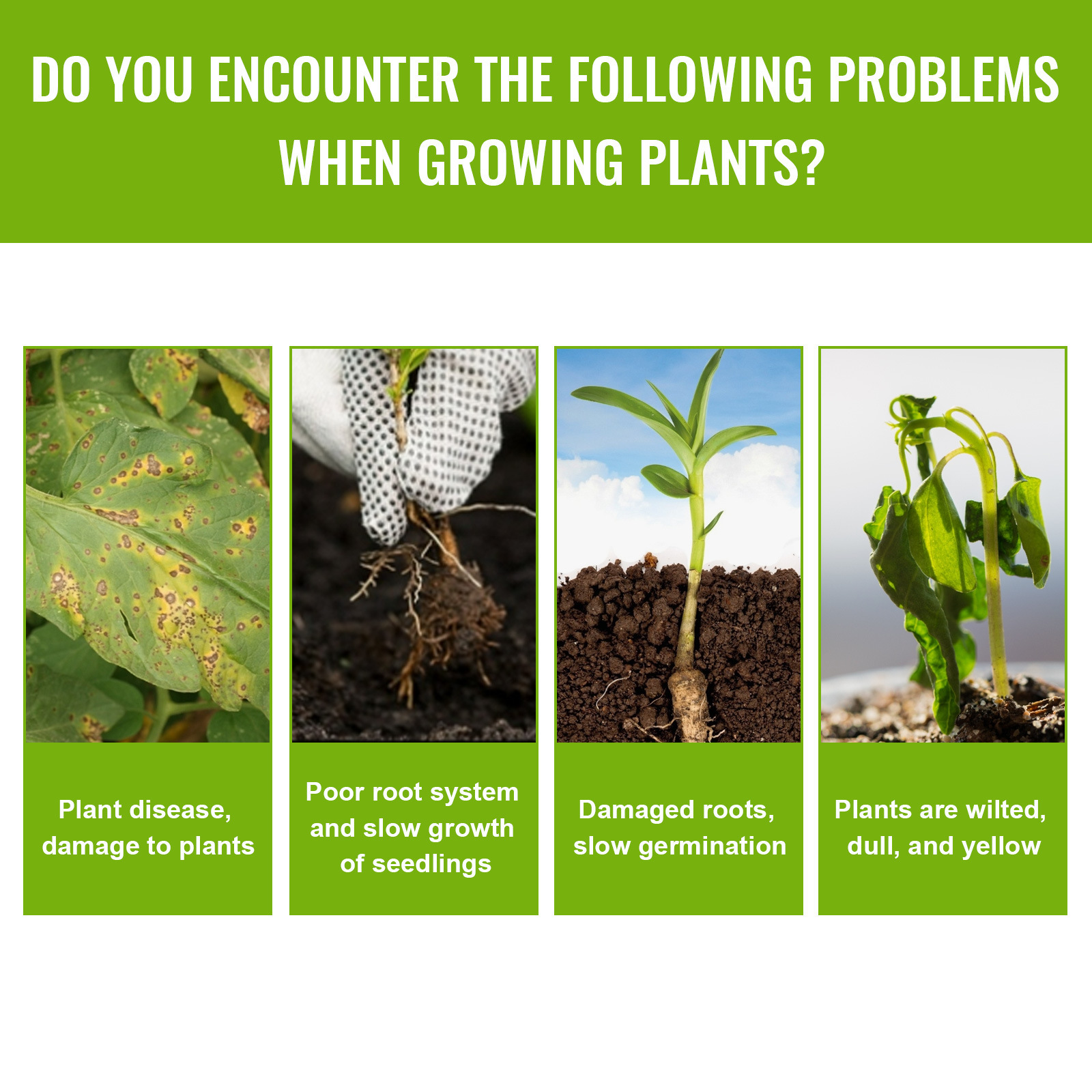 Nutritional Support for Plants