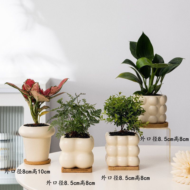 6 macetas de cerámica carnosas personalidad simple fresca pequeña maceta de color cuadrada balcón carnosas una pieza
