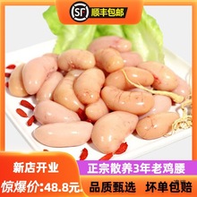 ����S���]�����r�u����ɢ�B���u����С̖�u�I�u���u�����r���l